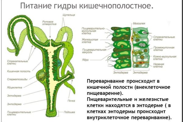 Список даркнет сайтов
