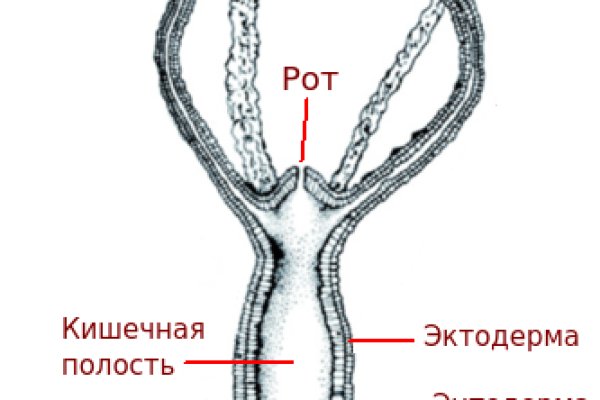 Ошибка на кракене