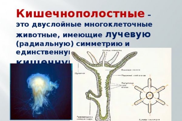 Как зайти на кракен даркнет