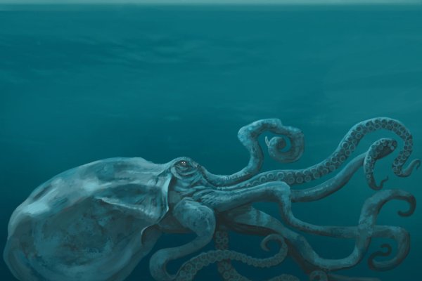 Kraken дарк магазин