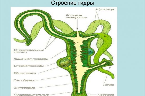 Kraken рабочая ссылка 2025