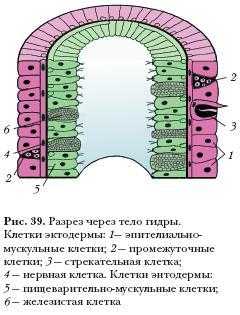 Кракен даркнет зеркало