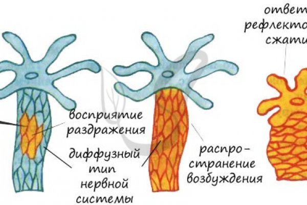 Впн для кракена